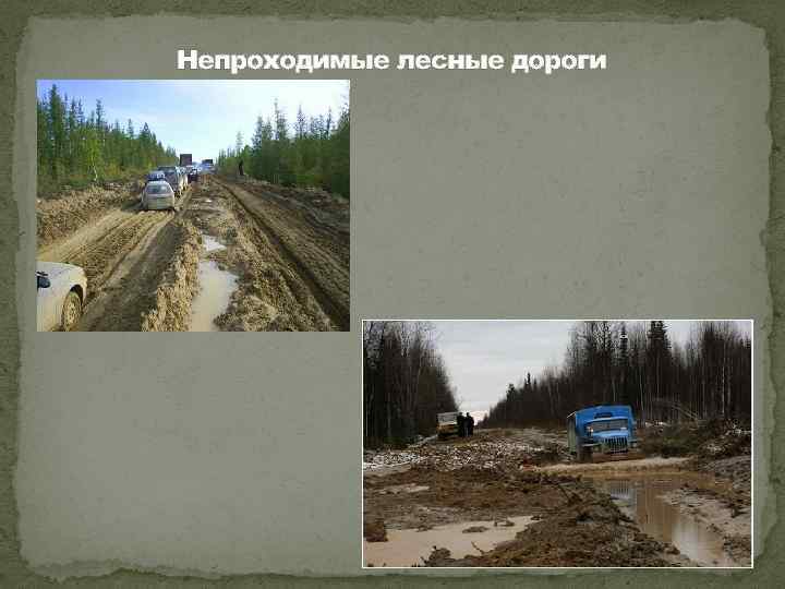 Непроходимые лесные дороги 