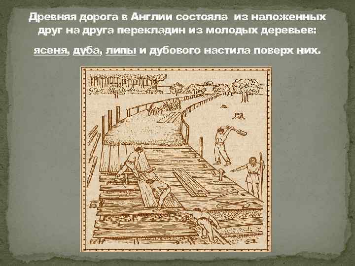 Древняя дорога в Англии состояла из наложенных друг на друга перекладин из молодых деревьев: