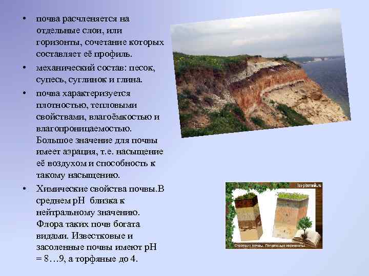  • • почва расчленяется на отдельные слои, или горизонты, сочетание которых составляет её