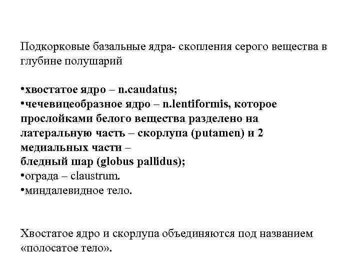 Подкорковые базальные ядра- скопления серого вещества в глубине полушарий • хвостатое ядро – n.