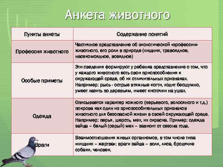 Анкета животного Пункты анкеты Профессия животного Содержание понятий Частичное представление об экологической «профессии» животного,