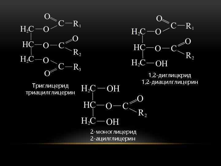 Схема образования триацилглицерина