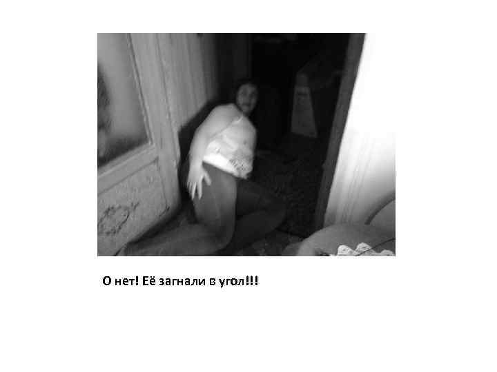 О нет! Её загнали в угол!!! 