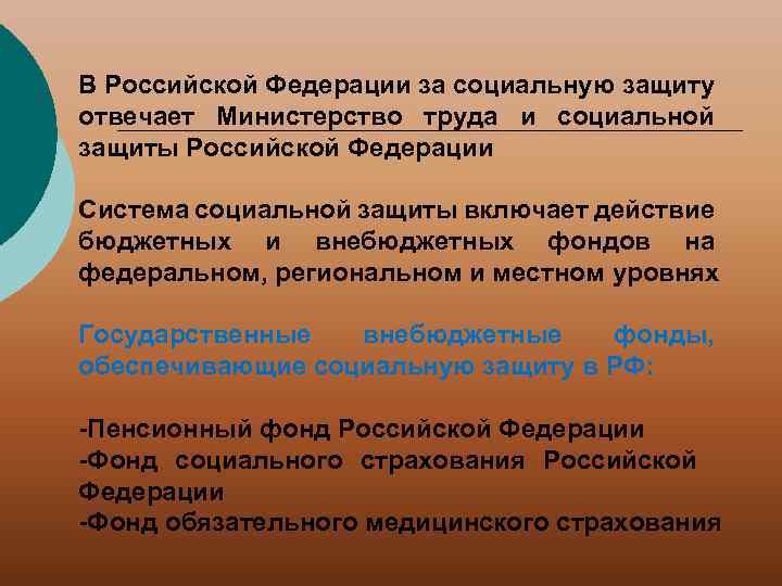 В Российской Федерации за социальную защиту отвечает Министерство труда и социальной защиты Российской Федерации