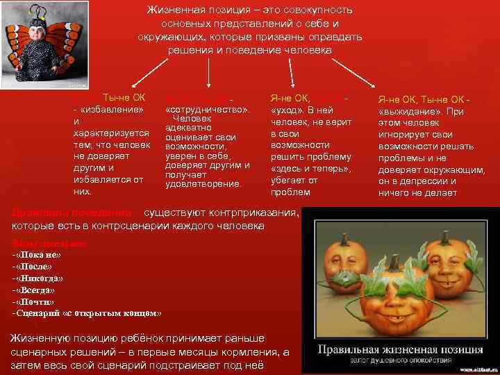 Жизненная позиция – это совокупность основных представлений о себе и окружающих, которые призваны оправдать