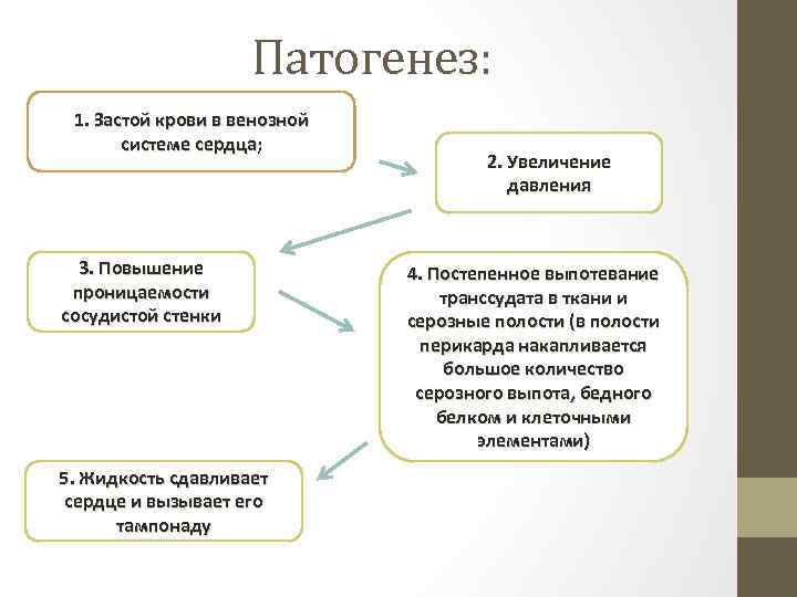 Патогенез: 1. Застой крови в венозной системе сердца; 3. Повышение проницаемости сосудистой стенки 5.