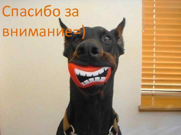 Спасибо за внимание=) 