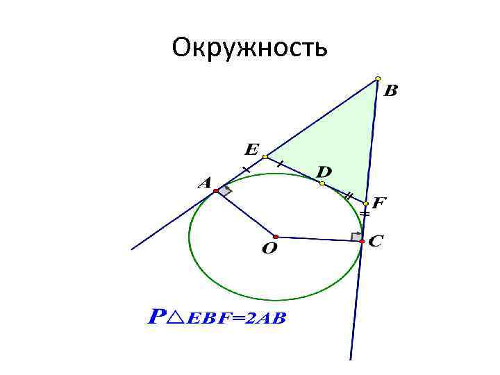 Окружность 