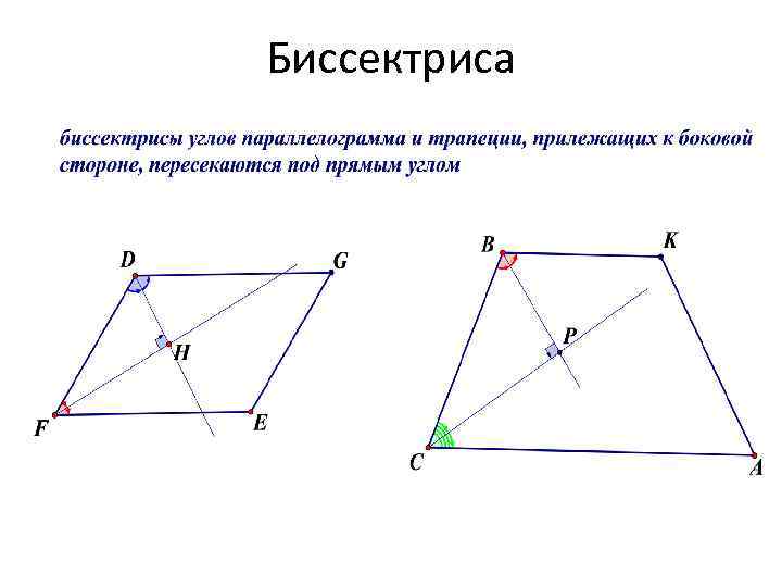 Биссектриса 