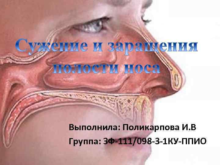 Выполнила: Поликарпова И. В Группа: ЗФ-111/098 -3 -1 КУ-ППИО 