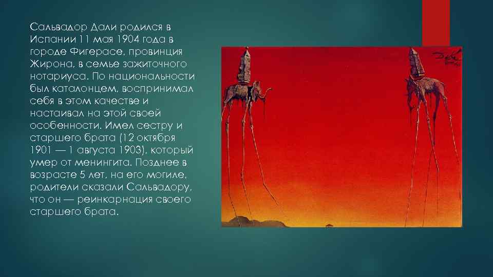 Сальвадор Дали родился в Испании 11 мая 1904 года в городе Фигерасе, провинция Жирона,