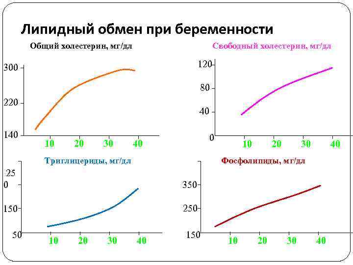 Липидный обмен при беременности Общий холестерин, мг/дл Свободный холестерин, мг/дл 120 300 80 220