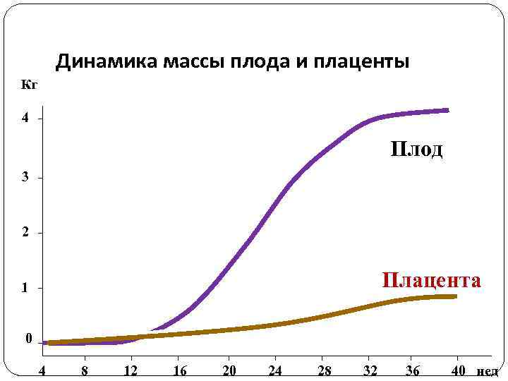 Динамика массы плода и плаценты Кг 4 Плод 3 2 Плацента 1 0 4