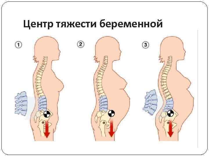 Центр тяжести беременной 