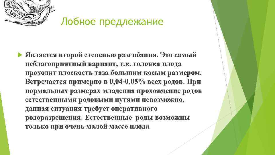 Лобное предлежание Является второй степенью разгибания. Это самый неблагоприятный вариант, т. к. головка плода