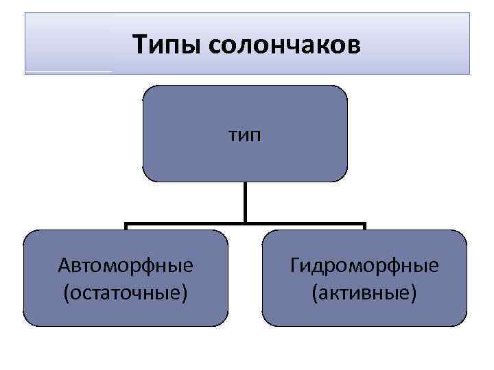 Типы солончаков тип Автоморфные (остаточные) Гидроморфные (активные) 