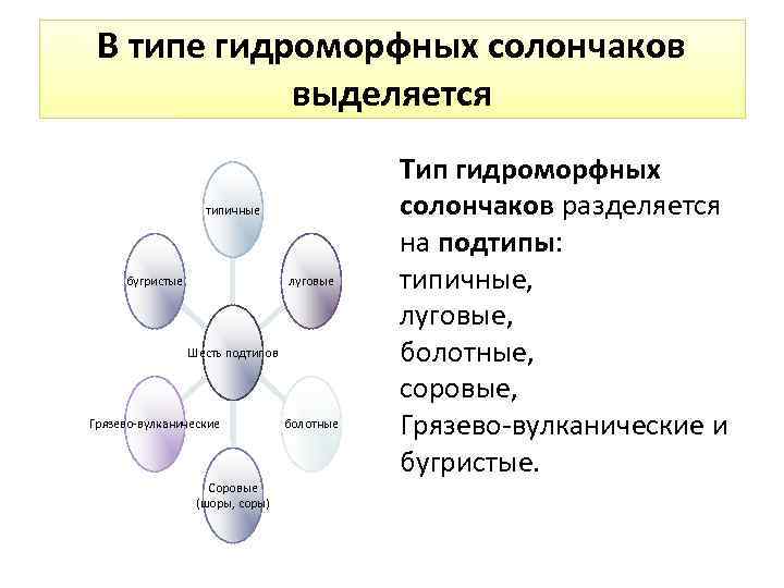 В типе гидроморфных солончаков выделяется типичные луговые бугристые Шесть подтипов Грязево-вулканические Соровые (шоры, соры)