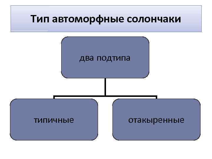 Тип автоморфные солончаки два подтипа типичные отакыренные 