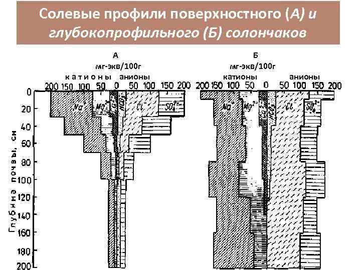 Солевые профили поверхностного (А) и глубокопрофильного (Б) солончаков А мг-экв/100 г к а т