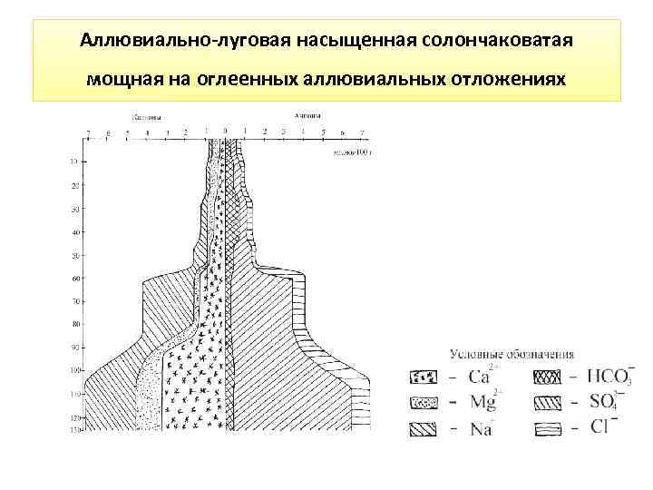 Аллювиально-луговая насыщенная солончаковатая мощная на оглеенных аллювиальных отложениях 