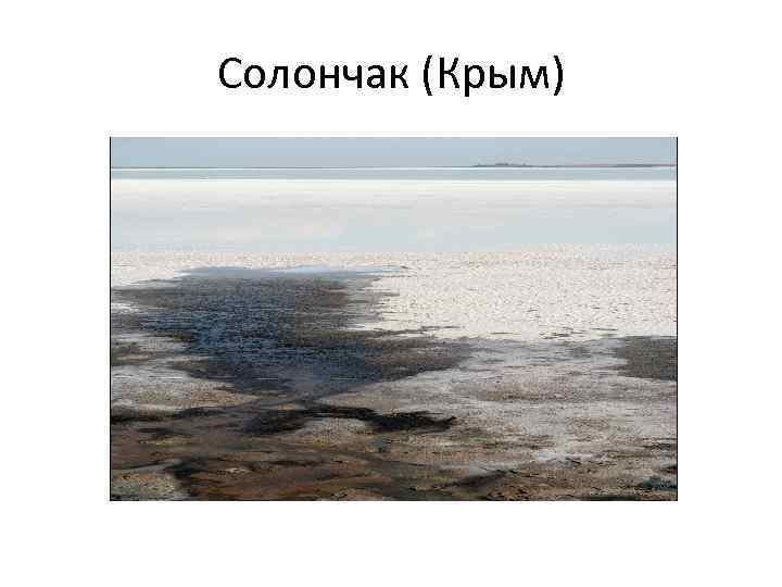 Солончак (Крым) 