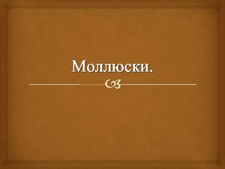 Моллюски. 