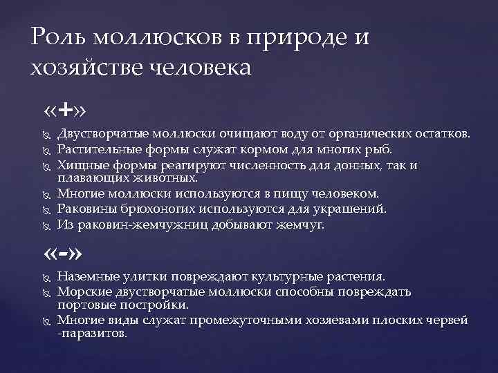 Значение моллюсков в природе и жизни человека. Роль моллюсков в природе. Роль двустворчатых моллюсков в природе. Роль брюхоногих моллюсков в природе. Роль моллюсков в природе и в жизни человека.