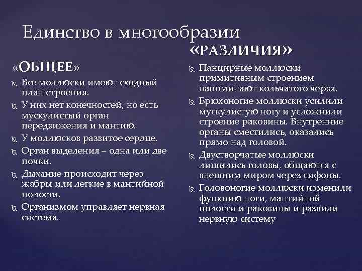 Единство в многообразии «ОБЩЕЕ» Все моллюски имеют сходный план строения. У них нет конечностей,