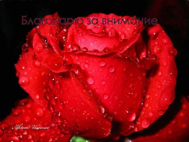 Благодарю за внимание 