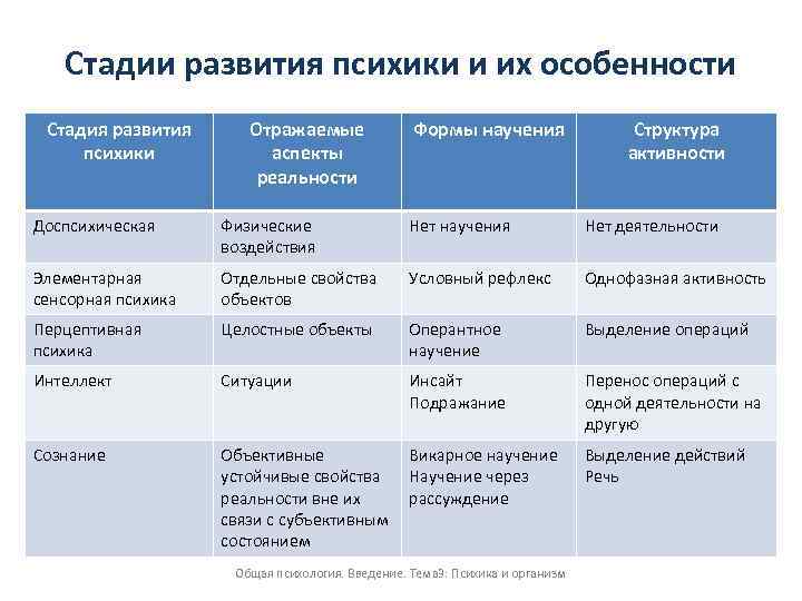 Развитие психики человека свойства