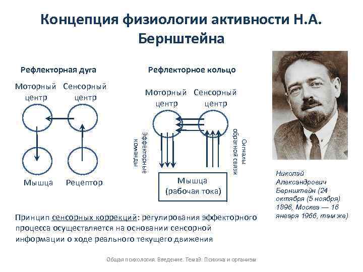 Схема рефлекторного кольца