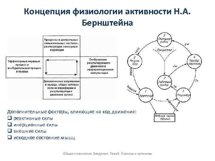 Н а бернштейн физиология движений и активность