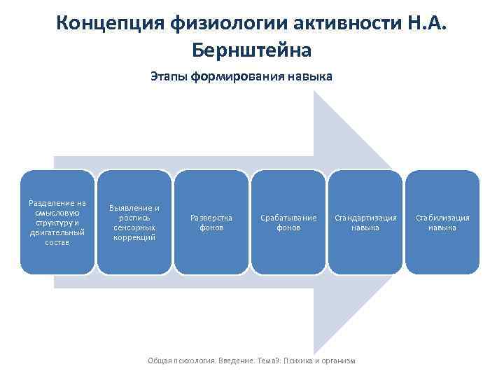 Концепция физиологии активности Н. А. Бернштейна Этапы формирования навыка Разделение на смысловую структуру и