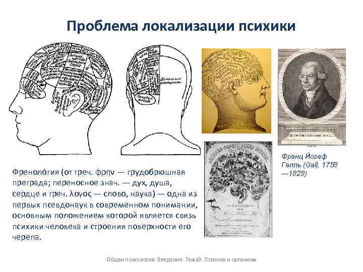 Проблема локализации психики Френоло гия (от греч. φρην — грудобрюшная преграда; переносное знач. —