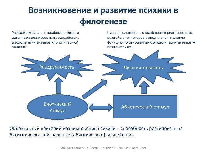 Объективный процесс развития. Стадии развития психики в филогенезе. Возникновение и стадии развития психики. Возникновение и развитие психики в филогенезе. Этапы развития психики схема.