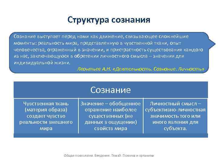 Структура сознания по в п зинченко схема