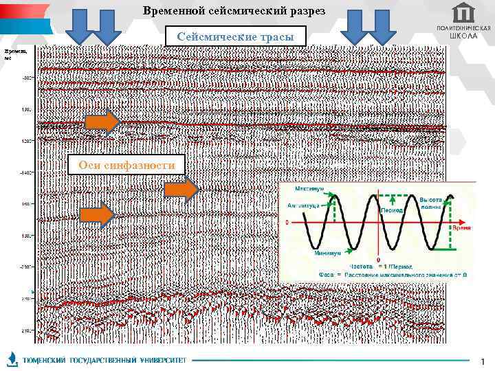 Временной сейсмический разрез Сейсмические трасы ПОЛИТЕХНИЧЕСКАЯ ШКОЛА Времена, мс Оси синфазности 1 