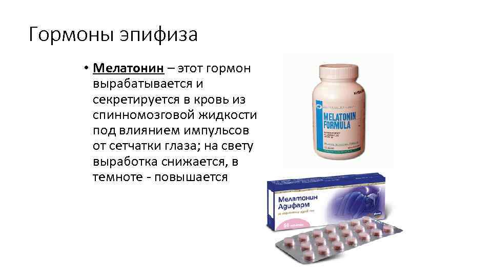 Гормоны эпифиза • Мелатонин – этот гормон вырабатывается и секретируется в кровь из спинномозговой