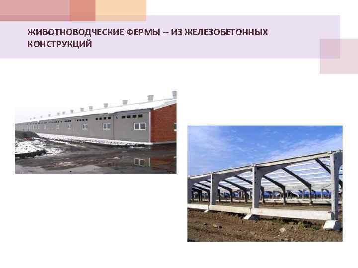 ЖИВОТНОВОДЧЕСКИЕ ФЕРМЫ -- ИЗ ЖЕЛЕЗОБЕТОННЫХ КОНСТРУКЦИЙ 