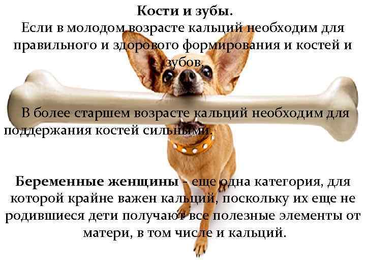 Кости и зубы. Если в молодом возрасте кальций необходим для правильного и здорового формирования