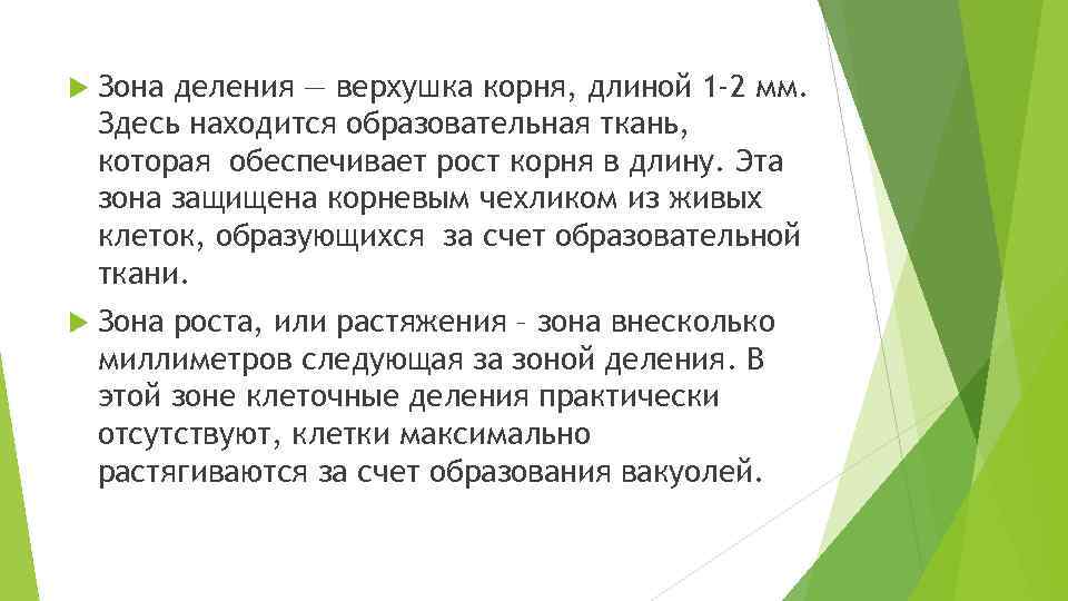  Зона деления — верхушка корня, длиной 1 -2 мм. Здесь находится образовательная ткань,