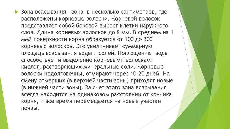  Зона всасывания - зона в несколько сантиметров, где расположены корневые волоски. Корневой волосок