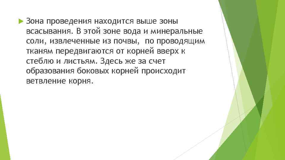  Зона проведения находится выше зоны всасывания. В этой зоне вода и минеральные соли,