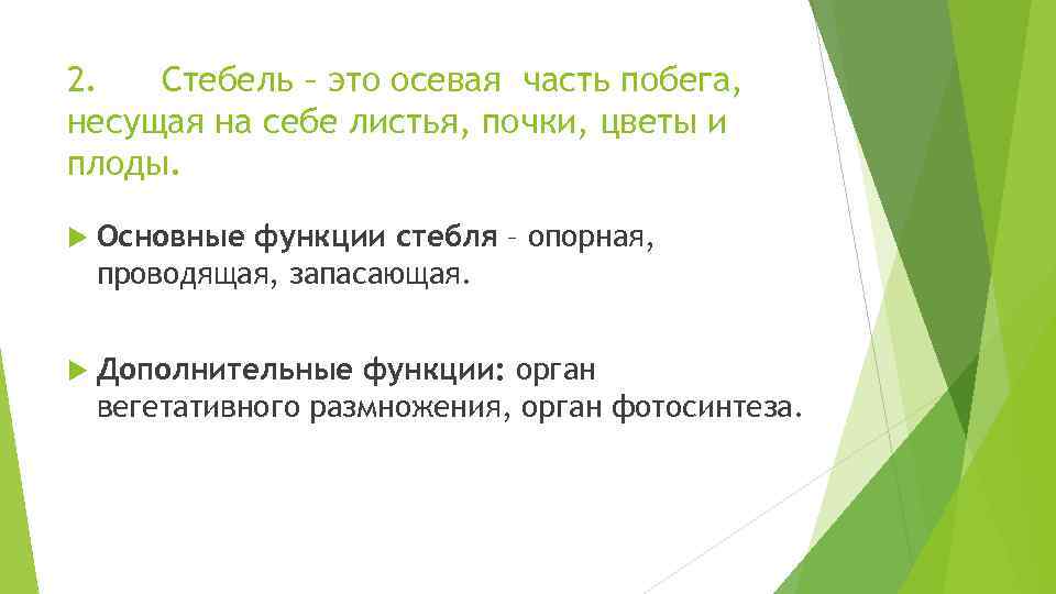 2. Стебель – это осевая часть побега, несущая на себе листья, почки, цветы и