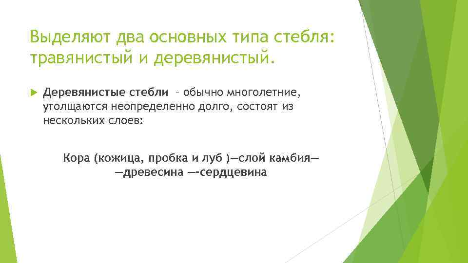 Выделяют два основных типа стебля: травянистый и деревянистый. Деревянистые стебли – обычно многолетние, утолщаются