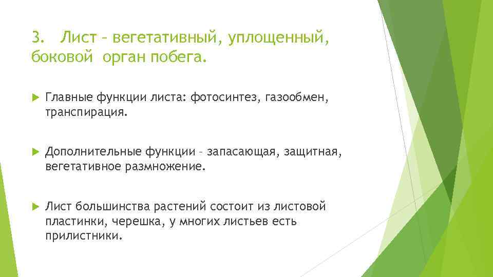 3. Лист – вегетативный, уплощенный, боковой орган побега. Главные функции листа: фотосинтез, газообмен, транспирация.