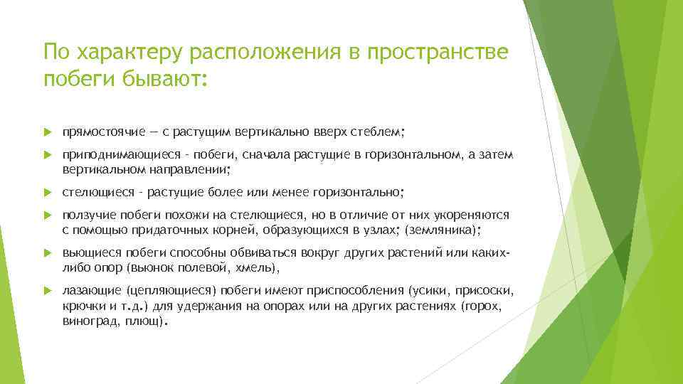 По характеру расположения в пространстве побеги бывают: прямостоячие — с растущим вертикально вверх стеблем;