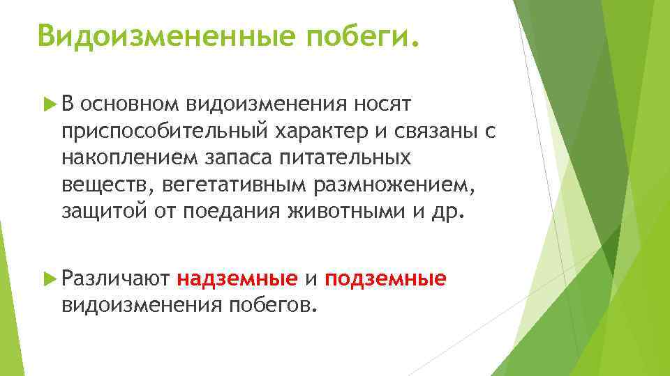 Видоизмененные побеги. В основном видоизменения носят приспособительный характер и связаны с накоплением запаса питательных