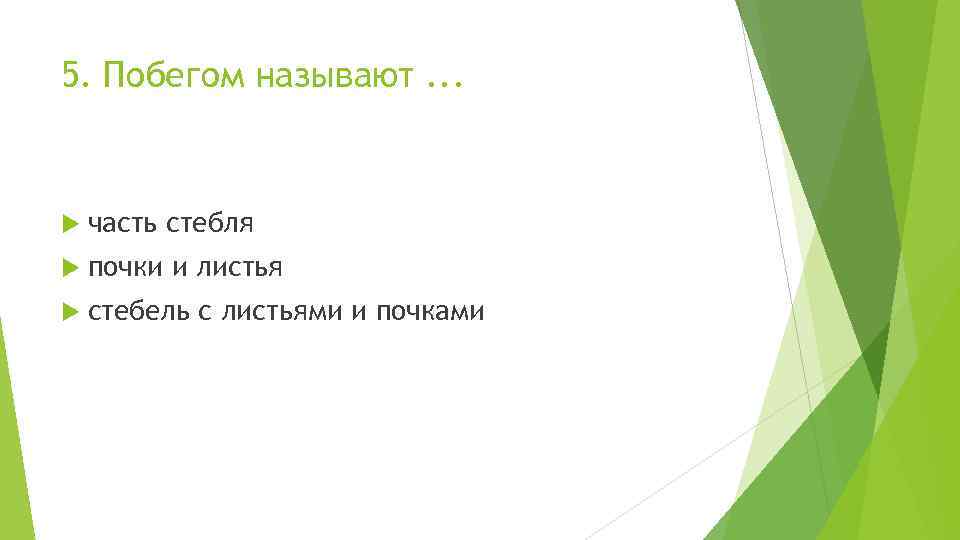 5. Побегом называют. . . часть стебля почки и листья стебель с листьями и