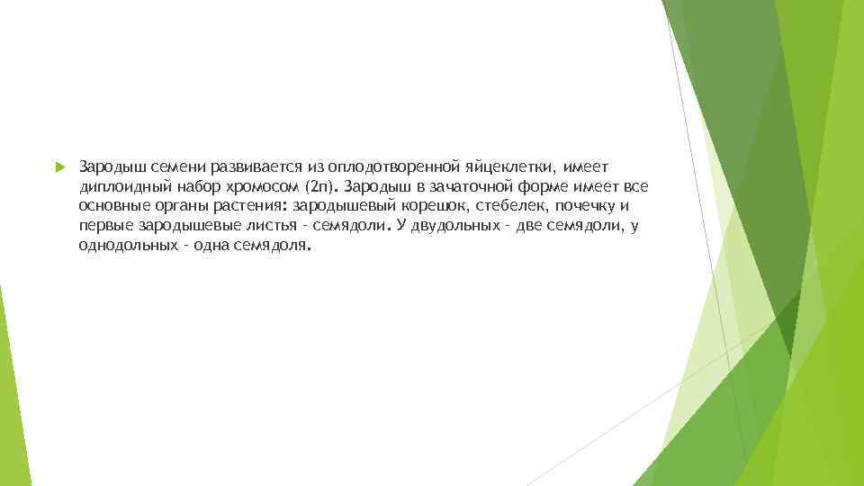  Зародыш семени развивается из оплодотворенной яйцеклетки, имеет диплоидный набор хромосом (2 п). Зародыш